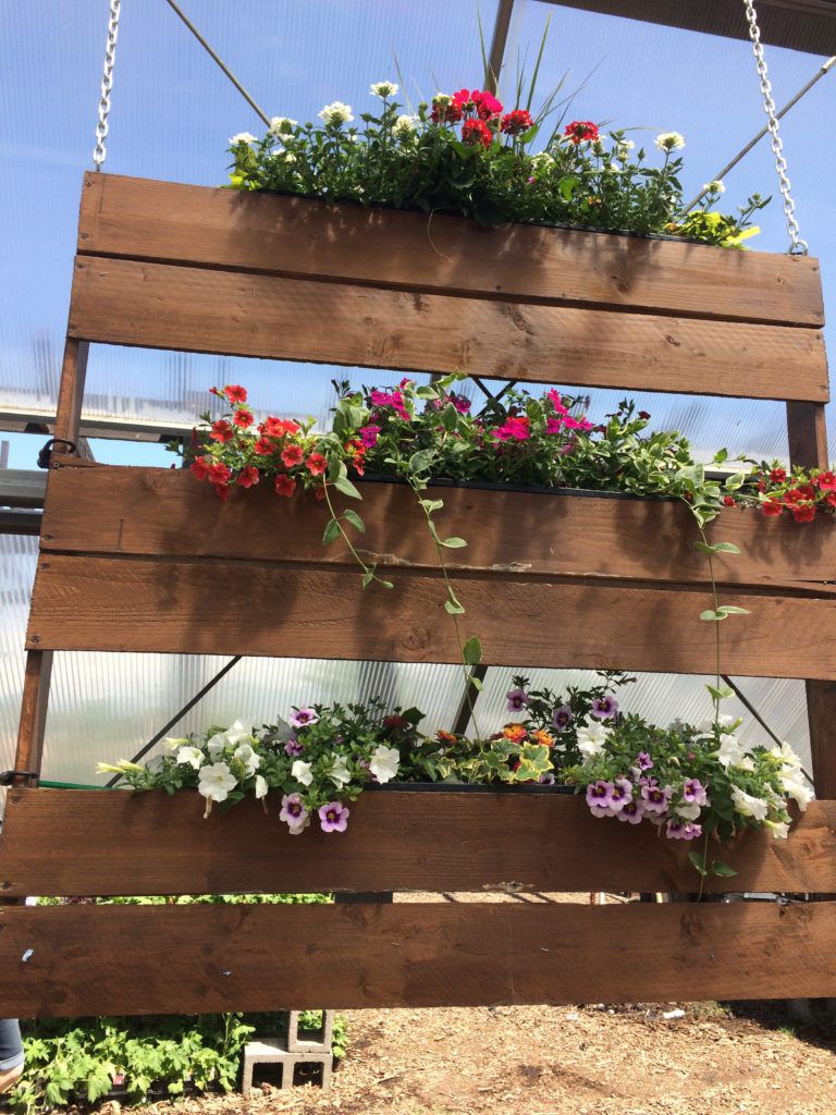 hanging planter garden