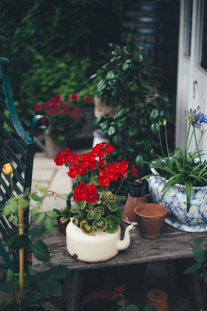 Container gardens