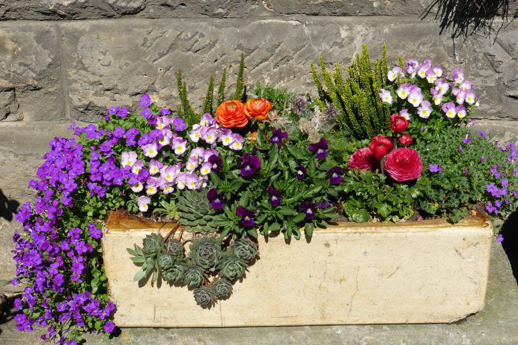 container garden