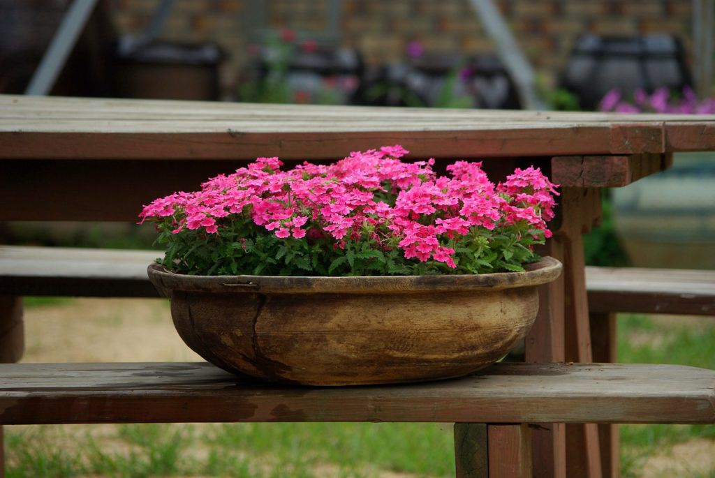 wood container garden