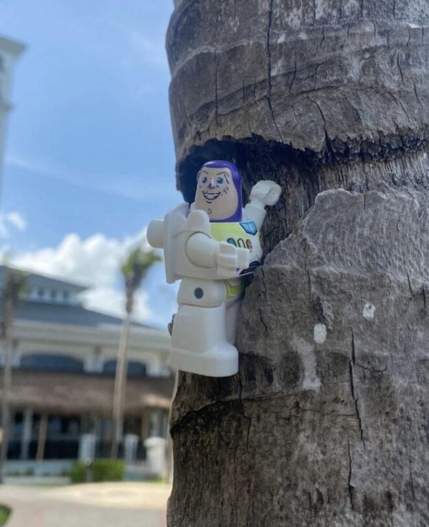 Buzz Lightyear toy on tree