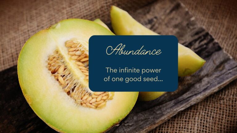 Abundance: A honeydew melon