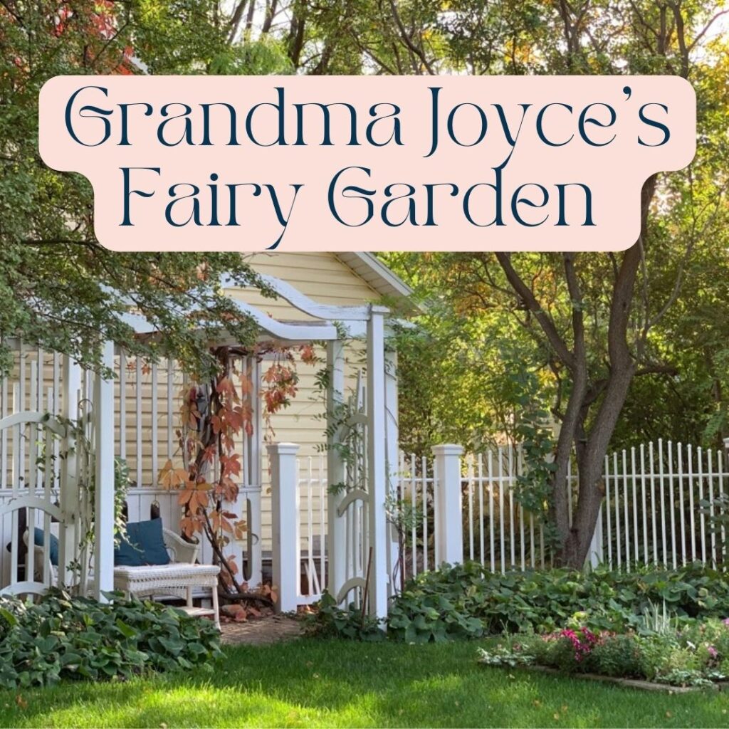 Grandma Joyce's Fairy Garden