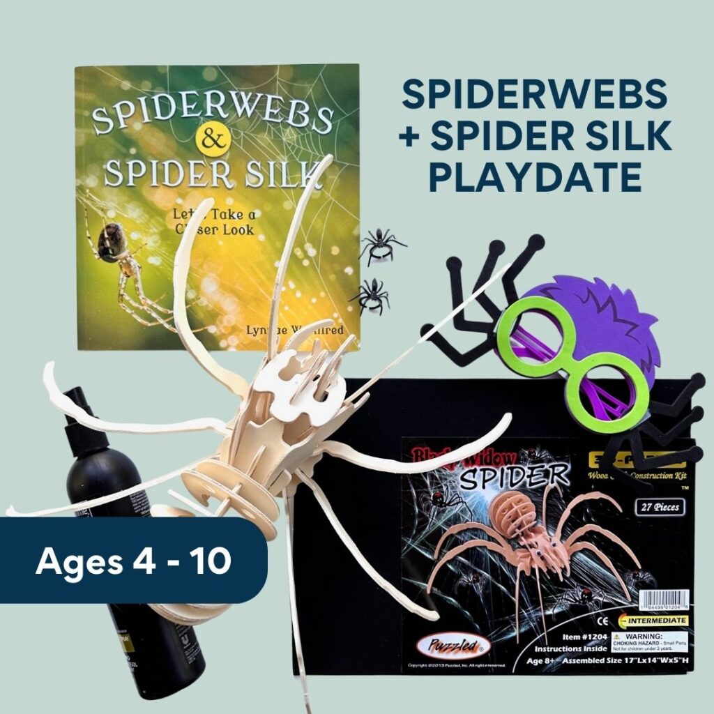 Spiderwebs and Spider Silk Playdate