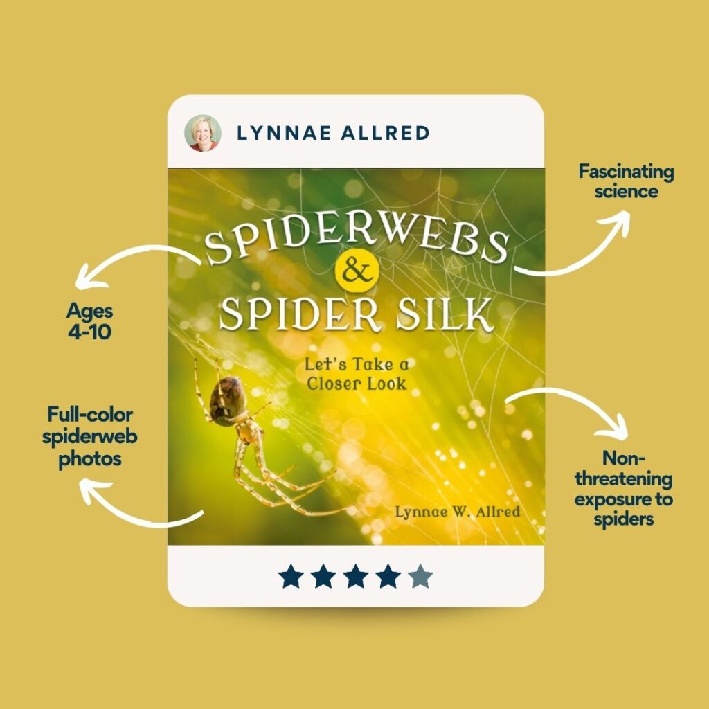 Spiderwebs and Spider Silk by Lynnae Allred