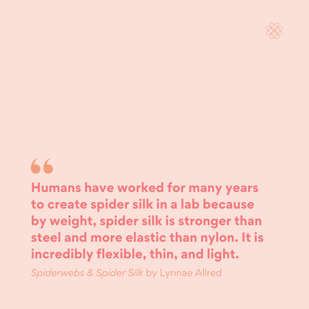 Quote from Spiderwebs and Spider Silk