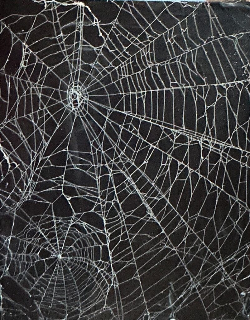 spiderweb art